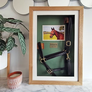 Horse Halter Memorial Shadow Box – Personalized Equine Keepsake Frame