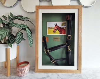 Horse Halter Memorial Shadow Box – Personalized Equine Keepsake Frame