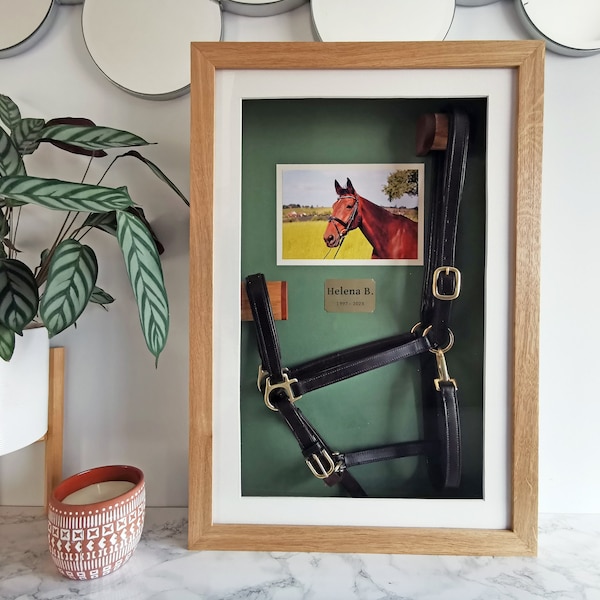 Horse Halter Memorial Shadow Box – Personalized Equine Keepsake Frame