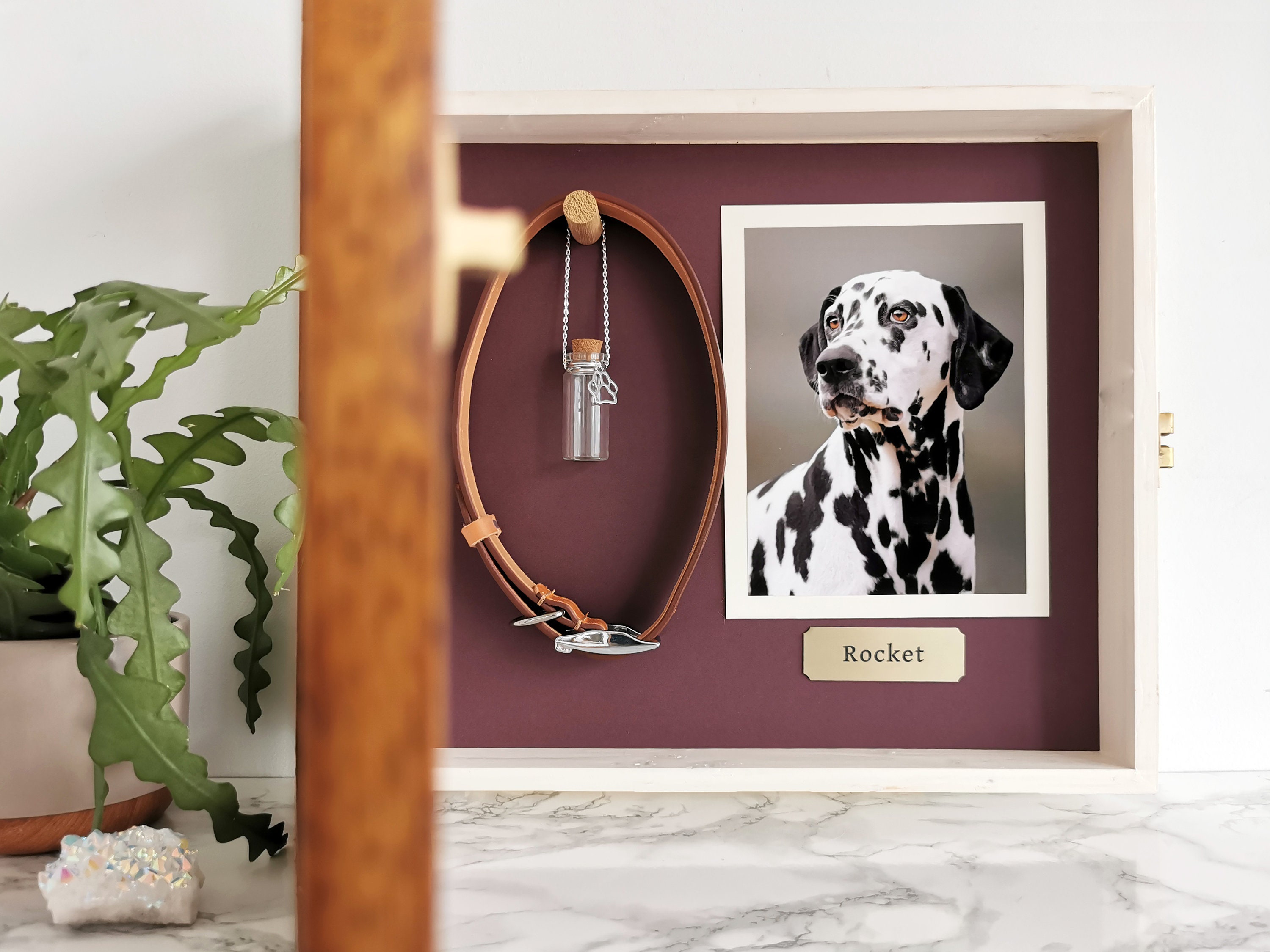 Dog collar photo hot sale frame