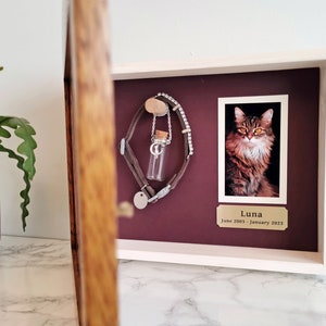 May include: A wooden shadow box with a burgundy background. Inside the box is a photo of a cat named Luna, a small glass vial, and a silver collar with a charm. The plaque below the photo reads "Luna June 2003 - January 2023".