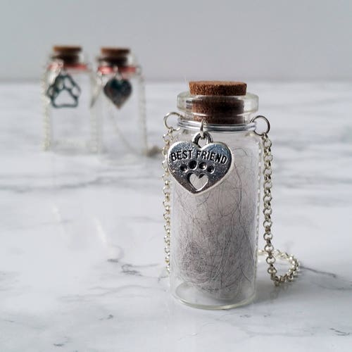 Pet Memorial Urn | Glass Vial for Ashes or Hair | Pet Loss Gift | Dog Cat Keepsake | Hanging Cat Urn | Rainbow-Bridge Gifts | Jar for Fur