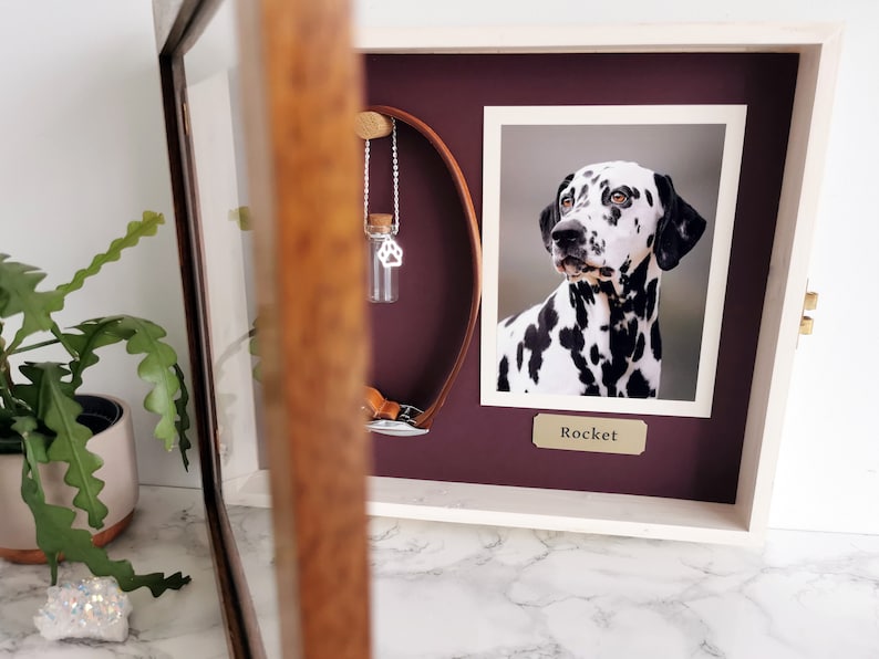 Pet Memorial Shadow Box Frame Mother's Day Pet Loss Iroko Pet Frame Personalized Dog Frame Pet Memory Gift Rainbow-Bridge Gift image 3