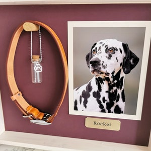 Pet Memorial Shadow Box Frame Mother's Day Pet Loss Iroko Pet Frame Personalized Dog Frame Pet Memory Gift Rainbow-Bridge Gift image 4