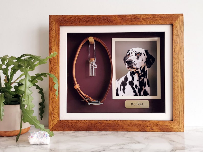 Pet Memorial Shadow Box Frame Mother's Day Pet Loss Iroko Pet Frame Personalized Dog Frame Pet Memory Gift Rainbow-Bridge Gift image 1