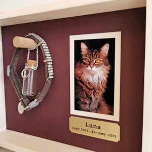 May include: A wooden shadow box memorial with a photo of a tabby cat named Luna. The box also includes a brown leather collar with a small glass vial and a silver chain with a charm.