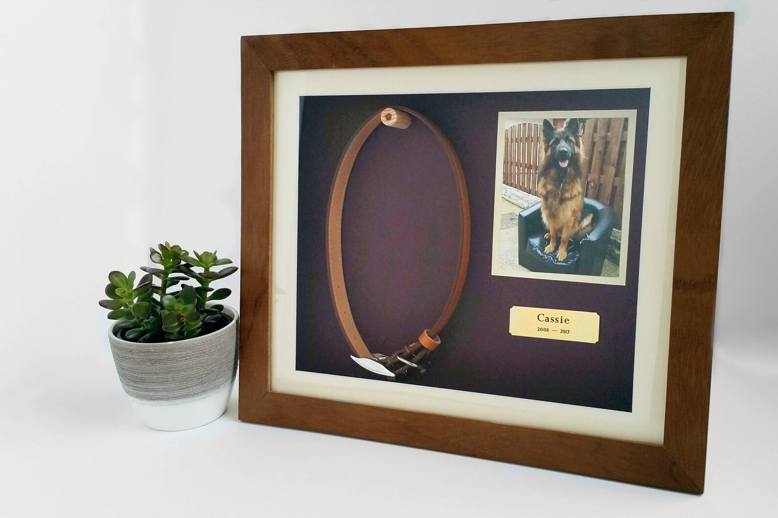 Pet Memorial Shadow Box Frame Personalised Pet Loss Gifts