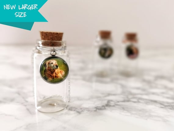 Barattolo Commemorativo Personalizzato Per Peli Di Animali, Con Nome E Data, In Vetro, Disponibile In Forme Cuore, Rotondo O Stella, Per Conservare Ricordi Del Tuo Pet
