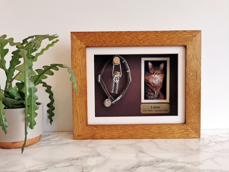 May include: A wooden frame with a burgundy mat and a photo of a cat named Luna. The frame also includes a collar, a small vial, and a tag with the text "Luna June 2003 - January 2023".