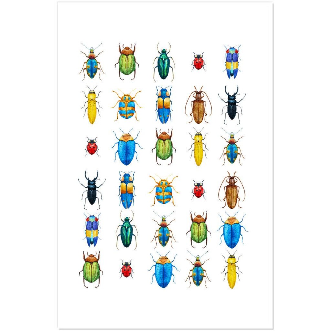 Scrapbook Bug Decals - Colorful Insect Stickers - Weatherproof, Easy ...