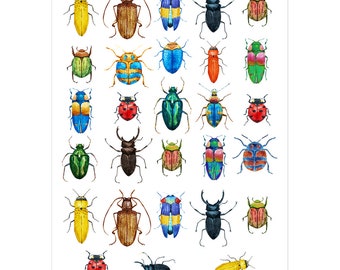 Pegatinas de insectos: Calcomanías duraderas de escarabajos coloridos, ideales para fiestas infantiles.