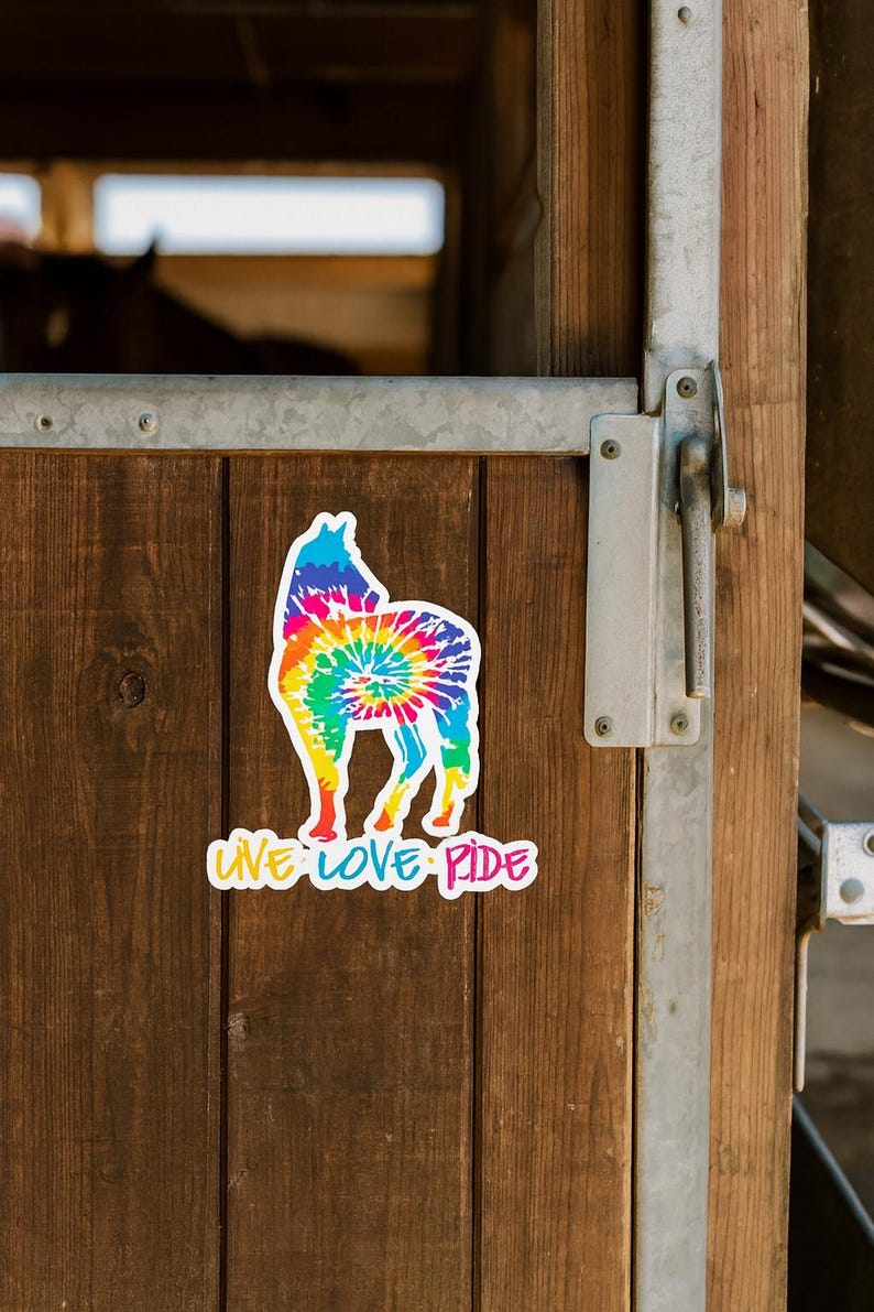 Adhesivo de vinilo duradero con diseño ecuestre tie-dye de caballo (sin burbujas, película de alta opacidad, para uso en interiores). imagen 6