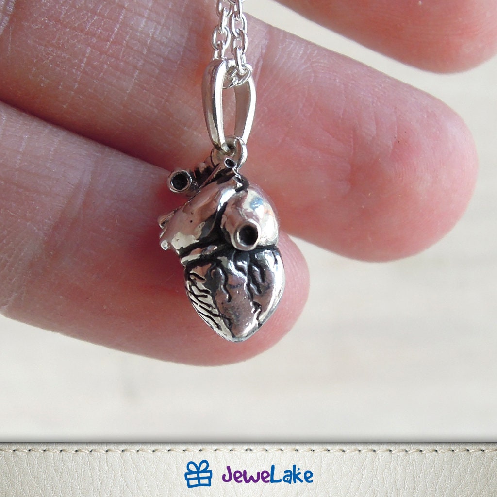 Anatomical Heart Jewelry Sterling Silver Jewelry Cardiology Etsy