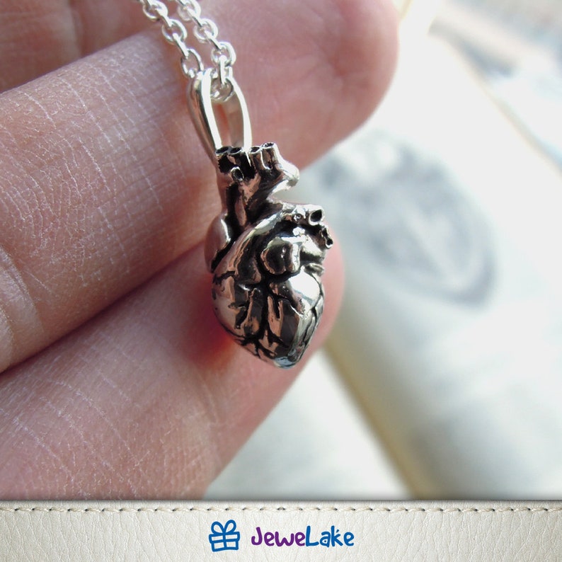 Anatomical Heart Jewelry Sterling Silver Jewelry Cardiology Etsy