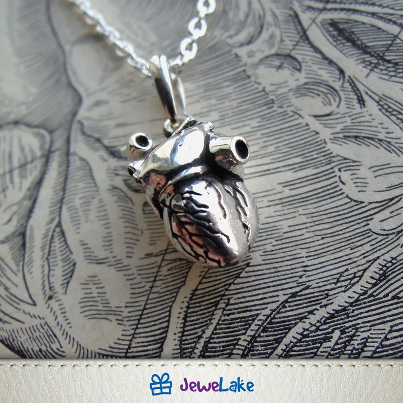 Anatomical Heart Jewelry Sterling Silver Jewelry Cardiology Etsy