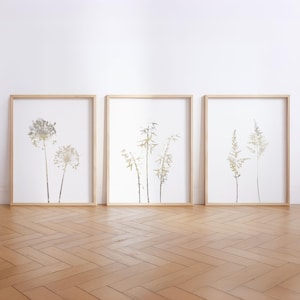 Neutral Botanical Wall Art Set of 3 Prints - Minimalist Beige and Brown Floral Decor