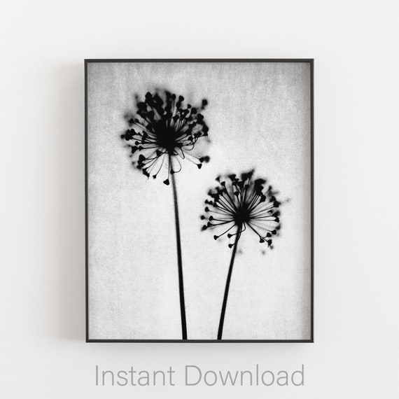 Black White Dandelion Wall Art Digital Download Nature Etsy