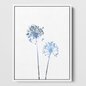 Blue Dandelion Flowers Minimalist Botanical Print - Paper or Canvas - Framed or Unframed