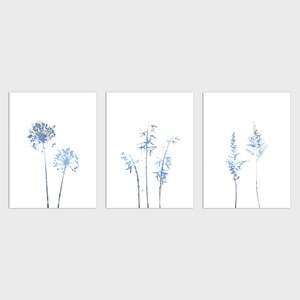 Set di 3 stampe botaniche moderne minimaliste di fiori selvatici blu - Carta o tela - Incorniciate o senza cornice