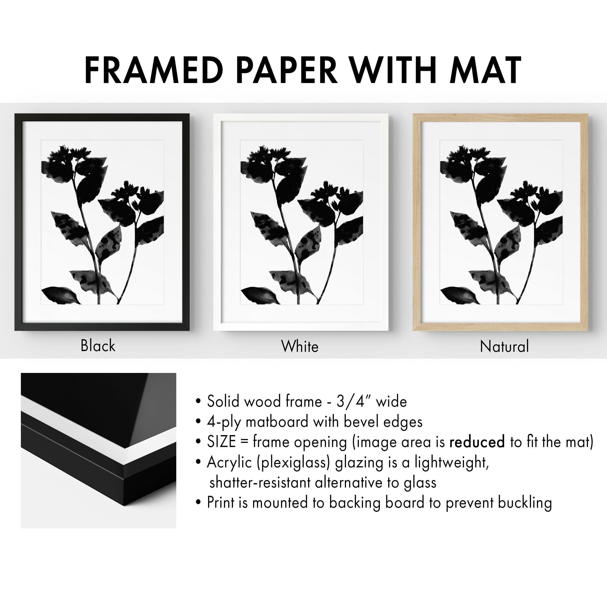 Zwart-witte bloemensilhouet set van 2 minimalistische botanische prints -  Etsy België, image size:2500x2500