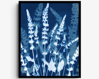 Stampa botanica cianotipica di Salvia - Arte murale con fiori selvatici blu