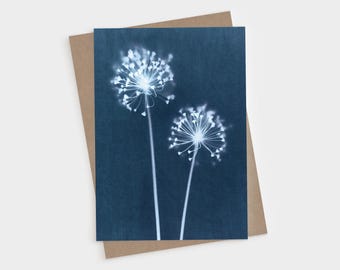 Cyanotype Dandelion Flower Blank Folded Note Cards – Blue and White Botanical Stationery