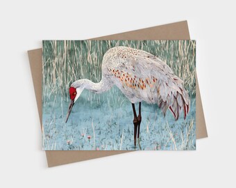 Sandhill Crane Watercolor Greeting Card - Wetland Bird Nature Art - Blank Folded Note Cards