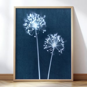 Dandelion Cyanotype Art Print - Vintage Style Botanical Silhouette in Indigo Blue