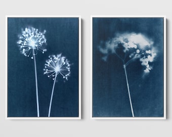 Set of 2 Indigo Blue Wildflower Botanical Cyanotype Reproduction Prints - Paper or Canvas