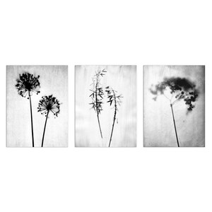 Set di 3 stampe fotografiche di silhouette floreali in bianco e nero - Arte murale botanica minimalista - Carta o tela - Incorniciata o senza cornice