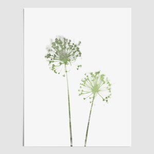 Stampa minimalista di tarassaco verde oliva - Carta o tela - Con cornice o senza cornice