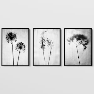 Black & White Botanical Photography Set of Three Flower Prints, Rustic Floral Wall Decor Set of 3 - Paper or Canvas