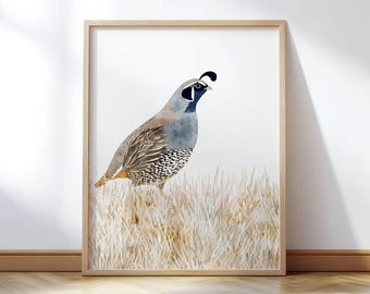 California Quail Minimalist Watercolor Print - Neutral Desert Bird Illustration