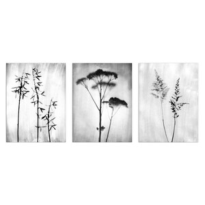 Black and White Flower Photography Set of 3 Botanical Prints - Etsy