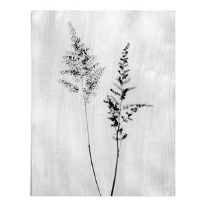 Stampa di silhouette botanica in bianco e nero - Arte murale minimalista con fiori selvatici - Carta o tela - Con cornice o senza cornice