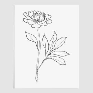Disegno minimalista di una peonia - Stampa artistica da parete floreale in bianco e nero - Carta o tela - Con o senza cornice