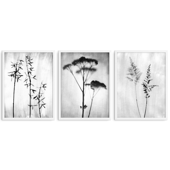 Floral Wall Art Set Black and White Flower Photography Modern Farmhouse Wall Decor Set of 3 Botanical Prints