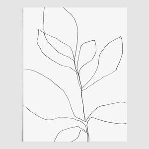 Minimalistische botanische Linie Art Print - moderne schwarzweiße Pflanzenzeichnung - Papier oder Leinwand - gerahmt oder ungerahmt