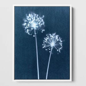 Indigo Blue Minimalist Botanical Dandelion Cyanotype Reproduction Print - Paper or Canvas - Framed or Unframed