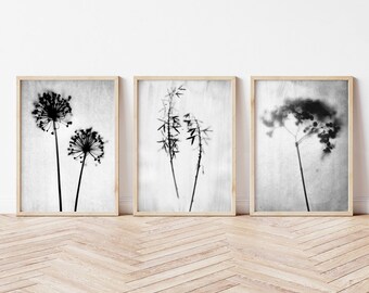 Conjunto de 3 impresiones fotográficas de siluetas florales en blanco y negro - Arte mural botánico minimalista