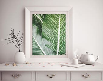 Botanical Leaf Wall Art Print / Digital Download Tropical Nature Photograph