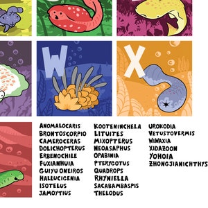 Prehistoric alphabet poster with trilobite, anomalocaris, opabinia, mistaken point Burgess Shale fossils image 5