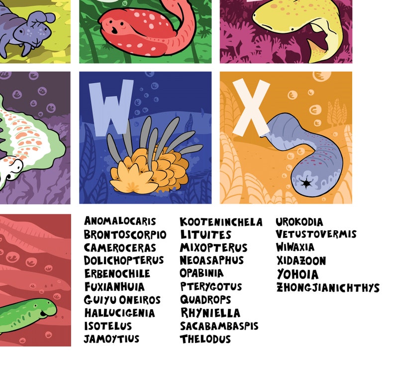 Prehistoric alphabet poster with trilobite, anomalocaris, opabinia, mistaken point Burgess Shale fossils image 5