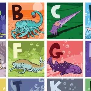 Prehistoric alphabet poster with trilobite, anomalocaris, opabinia, mistaken point Burgess Shale fossils image 4