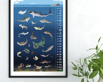 Sharks poster with Great white, Wobbegong, hammerhead, basking shark, Manta ray, Finding Nemo, Jaws