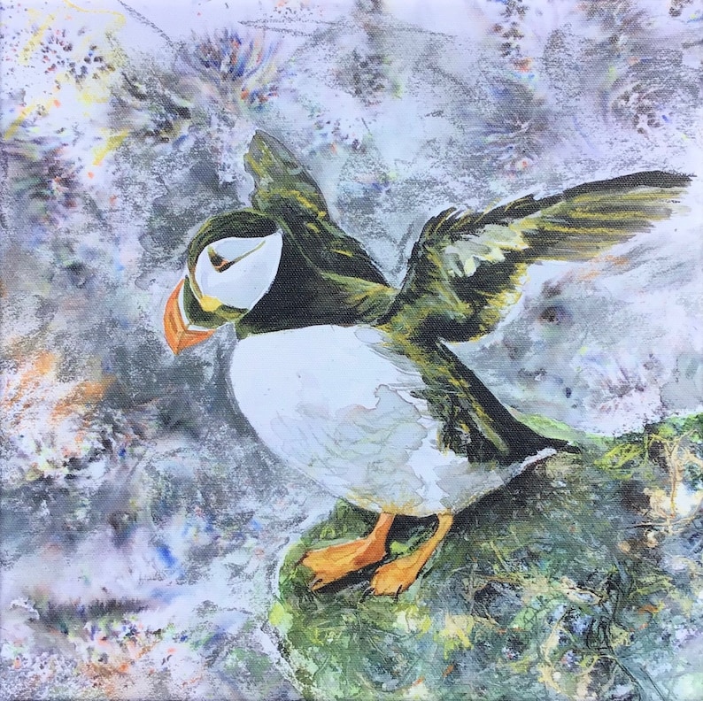 Puffin Canvas Art Print Square Medium Wildlife Sea Bird Watcher Lover Fan Gift Grey Green Wall Art Picture Home Decor Hayley Mills