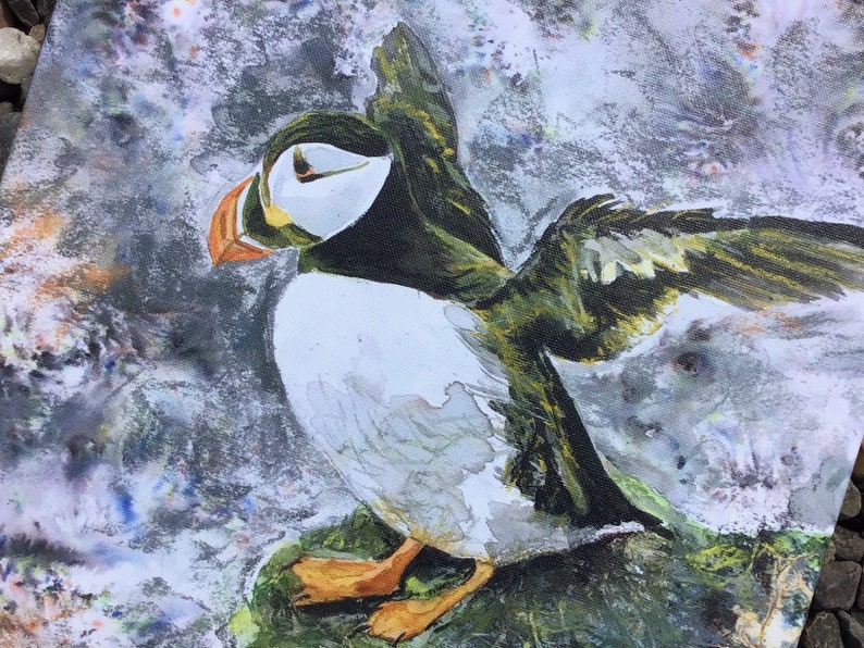 Puffin Canvas Art Print Square Medium Wildlife Sea Bird Watcher Lover Fan Gift Grey Green Wall Art Picture Home Decor Hayley Mills