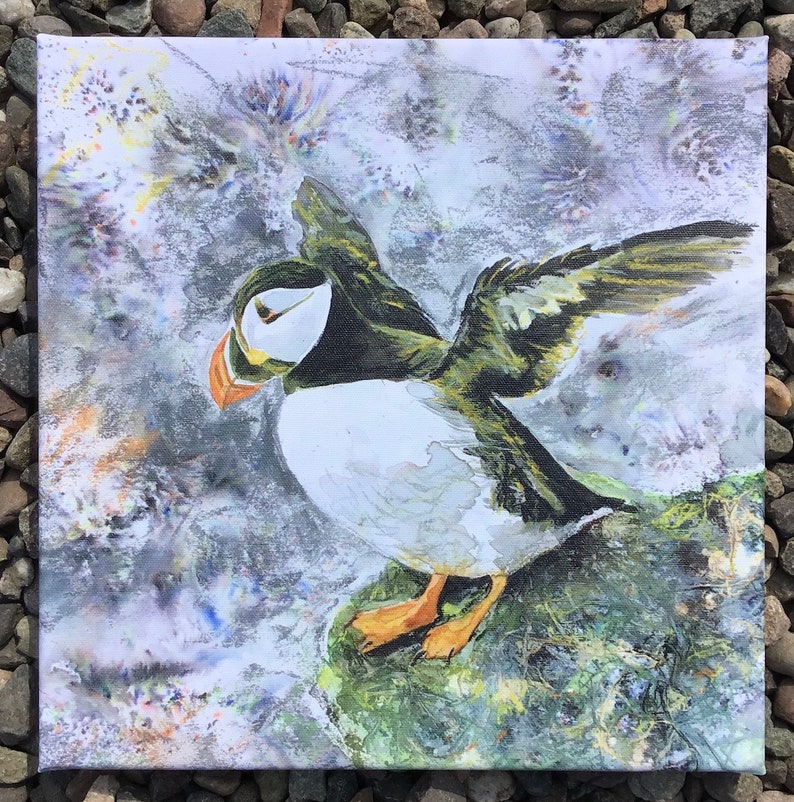 Puffin Canvas Art Print Square Medium Wildlife Sea Bird Watcher Lover Fan Gift Grey Green Wall Art Picture Home Decor Hayley Mills