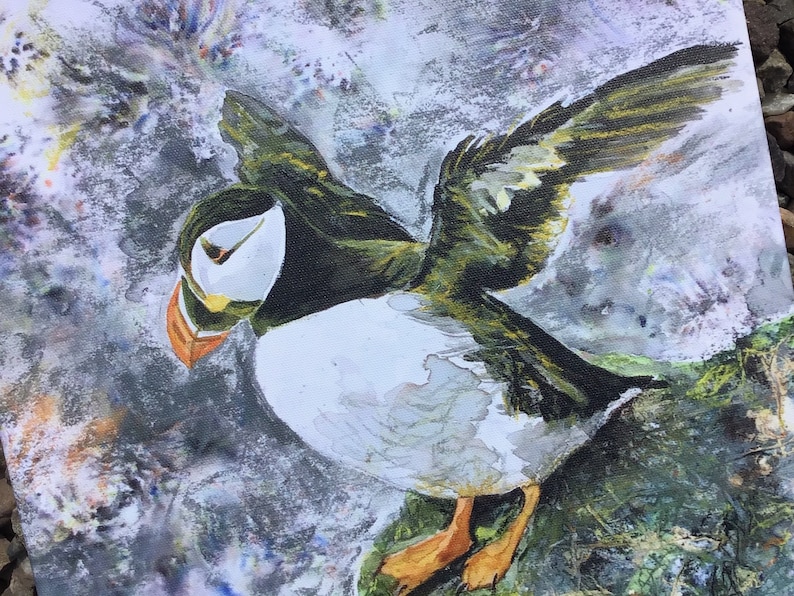Puffin Canvas Art Print Square Medium Wildlife Sea Bird Watcher Lover Fan Gift Grey Green Wall Art Picture Home Decor Hayley Mills
