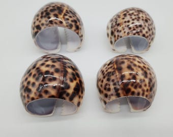 Zestaw 4 pierścieni na serwetki z muszli porcelanowej Tiger Cowrie firmy Pottery Barn